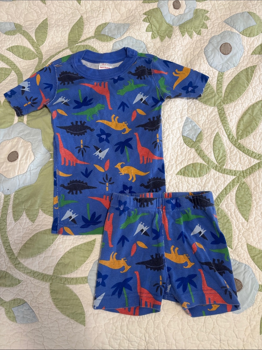Hanna Andersson Dinosaur Pajamas Set Size 4